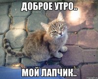 Доброе утро.. мой лапчик..