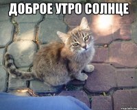 Доброе утро солнце 
