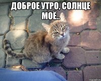 Доброе утро, солнце моё.. 