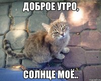 Доброе утро, солнце моё..