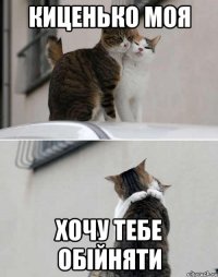 киценько моя хочу тебе обійняти