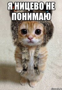 Я ницево не понимаю 
