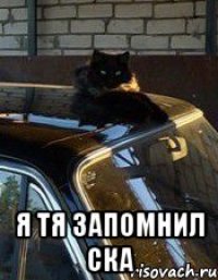  я тя запомнил ска