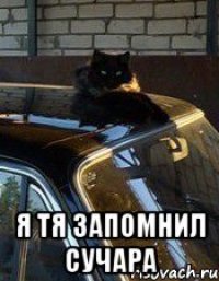  я тя запомнил сучара