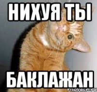 нихуя ты баклажан