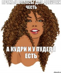 прямые волосы для девушки честь а кудри и у пуделя есть