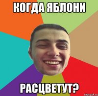 КОГДА ЯБЛОНИ РАСЦВЕТУТ?