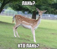 Лань? Кто лань?