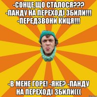 -Сонце,що сталося??? -Панду на переході збили!!! -Передзвони киця!!! -В мене горе! -Яке? -Панду на переході збили(((