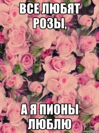 все любят розы, а я пионы люблю