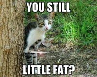you still little fat?