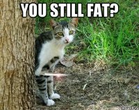 you still fat? 