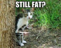 still fat? 