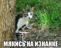  мякись на изнанке