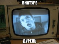 внатуре дурень