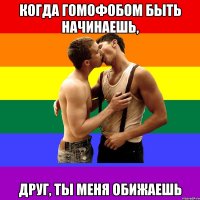 Когда гомофобом быть начинаешь, Друг, ты меня обижаешь