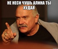 Не неси чушь Алина ты худая 