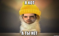 я кот а ты нет