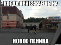 когда приезжаешь на новое ленина
