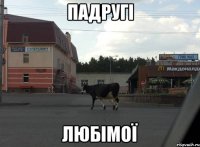 ПАДРУГІ ЛЮБІМОЇ
