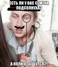 Есть ли у вас семена подсолнуха? А коли отыщутся?!