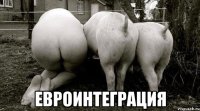  евроинтеграция