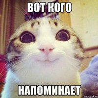 Вот кого напоминает
