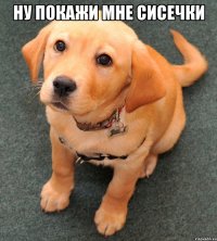 Ну покажи мне сисечки 