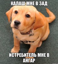 калаш мне в зад истребитель мне в ангар