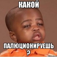 какой палюционируешь ?