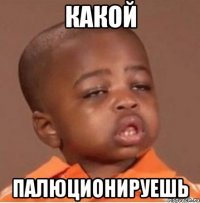 какой палюционируешь