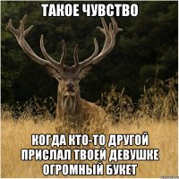 Такое чувство когда кто-то другой прислал твоей девушке огромный букет