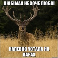 ЛЮБІМАЯ НЕ ХОЧЕ ЛЮБВІ НАПЕВНО УСТАЛА НА ПАРАХ
