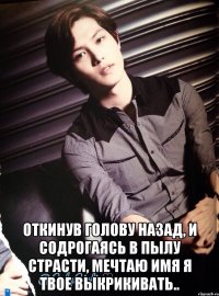  откинув голову назад, и содрогаясь в пылу страсти, мечтаю имя я твое выкрикивать..