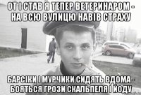 от і став я тепер ветеринаром - на всю вулицю навів страху барсіки і мурчики сидять вдома - бояться грози скальпеля і йоду