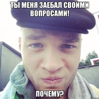 ты меня заебал своими вопросами! почему?