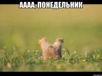 аааа, понедельник 