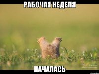 рабочая неделя началась