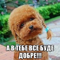  А в тебе все буде добре!!!