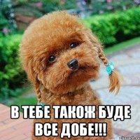  В тебе також буде все добе!!!