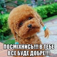  Посміхнись!!! В тебе все буде добре!!!