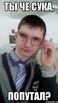 ТЫ ЧЕ СУКА, ПОПУТАЛ?