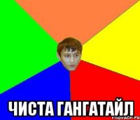  чиста гангатайл