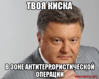 твоя киска в зоне антитеррористической операции