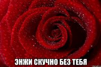  Энжи скучно без тебя