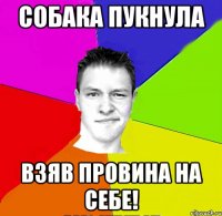 собака пукнула взяв провина на себе!