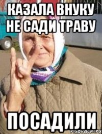 казала внуку не сади траву посадили