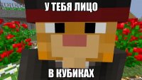 У тебя лицо в кубиках