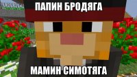 Папин бродяга Мамин симотяга