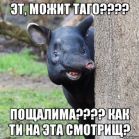 Эт, можит таго???? Пощалима???? Как ти на эта смотрищ?